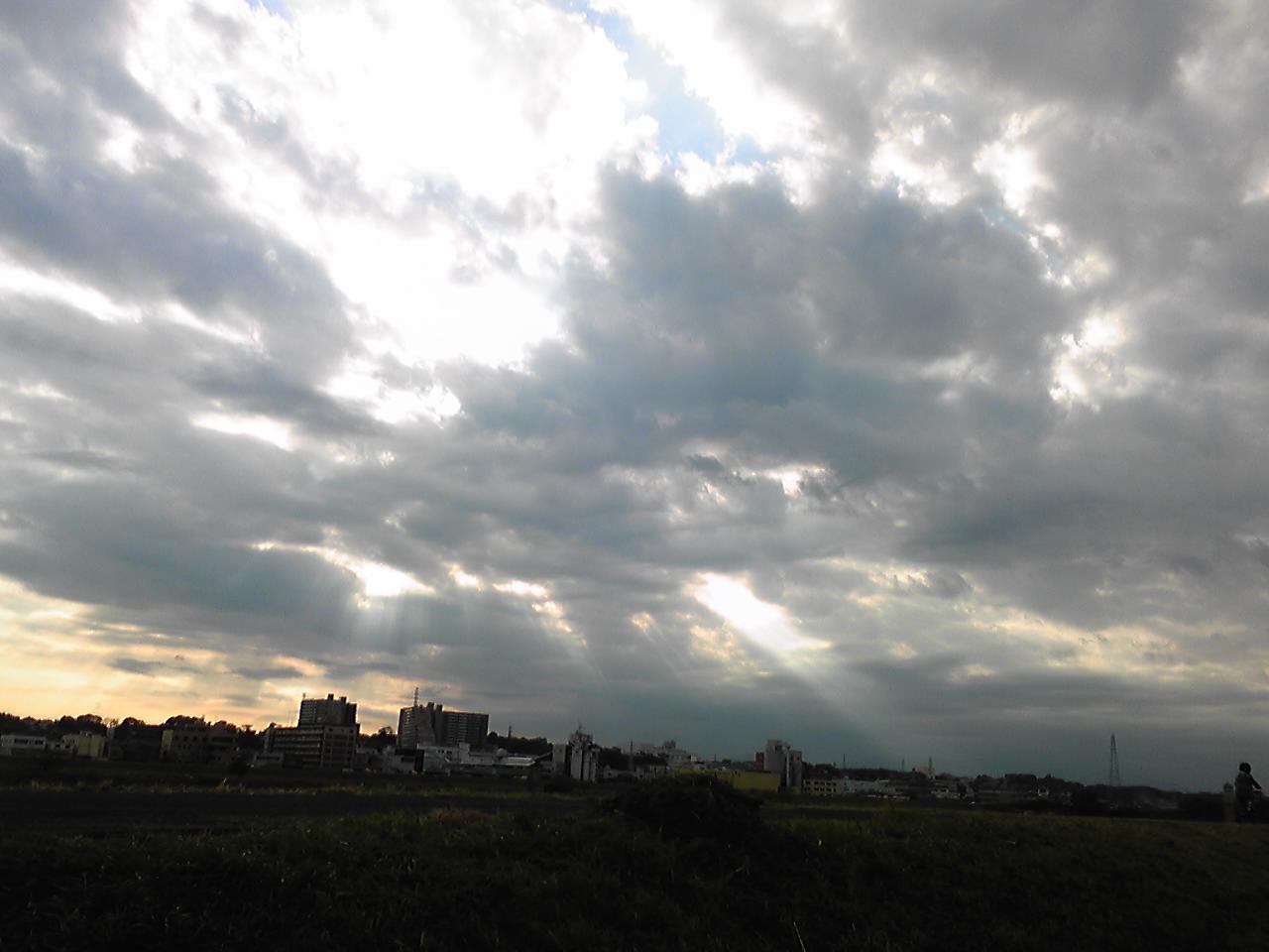 SH350541.jpg